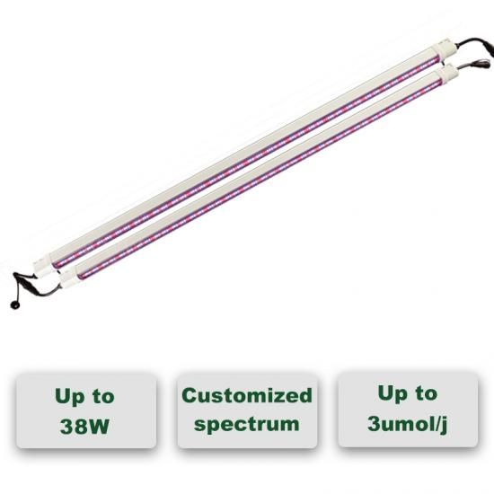 Linear Top grow light 30W*2  indoor Hydroponics & Greenhouse full spectrum