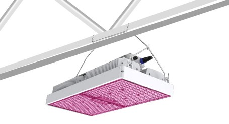 LED grow lights