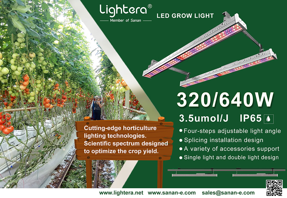 LED grow lights