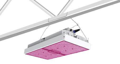 Greenhouse LED Grow Light