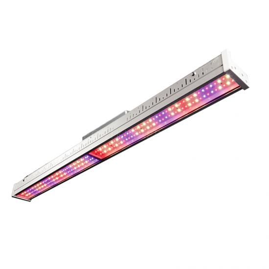 Greenhouse Top Light High Power Full Spectrum G3 single 320W 2.5umol/J LED Grow Light fixture for Horticulture Solution